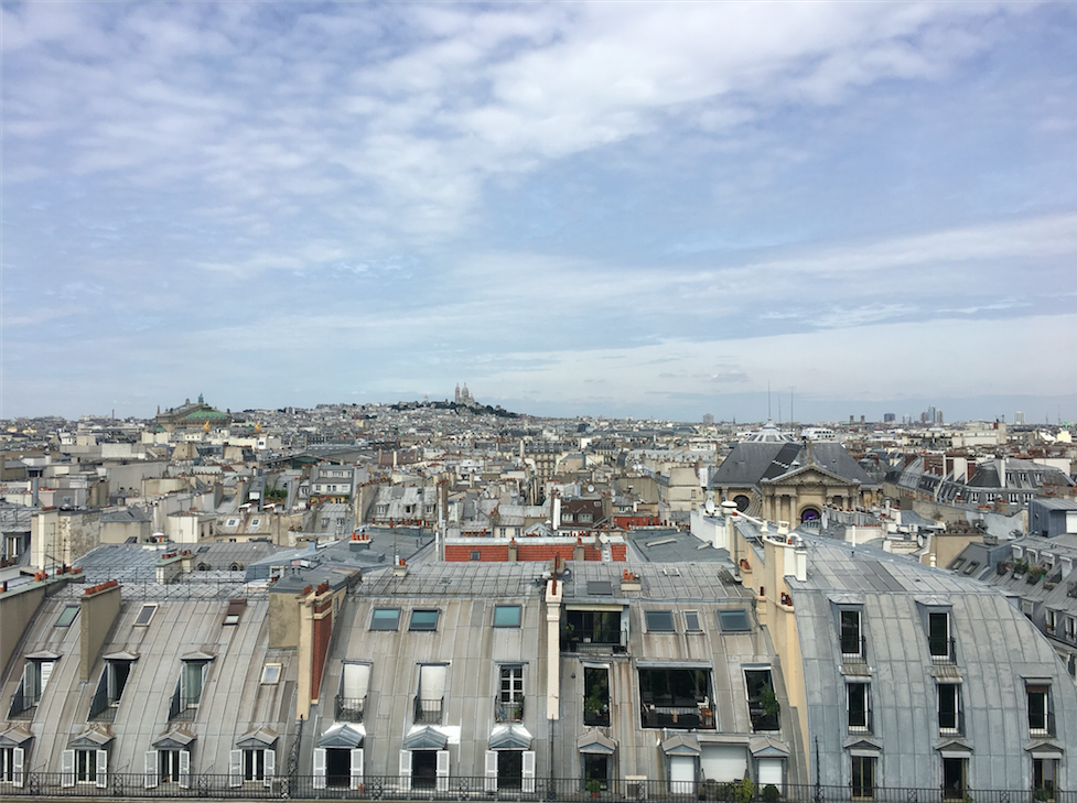 vue des toits de Paris