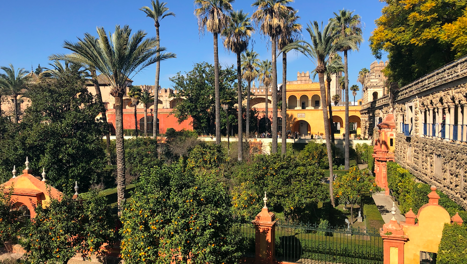 Jardin palmiers Real Alcazar Seville