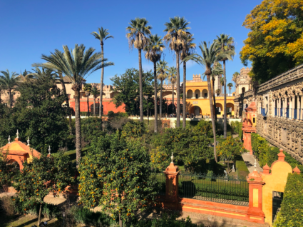 Jardin palmiers Real Alcazar Seville